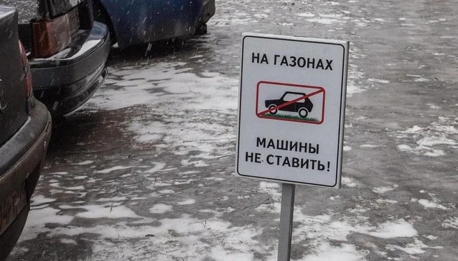 Штрафы за парковку на газонах в Рязани превысили 300 тысяч рублей