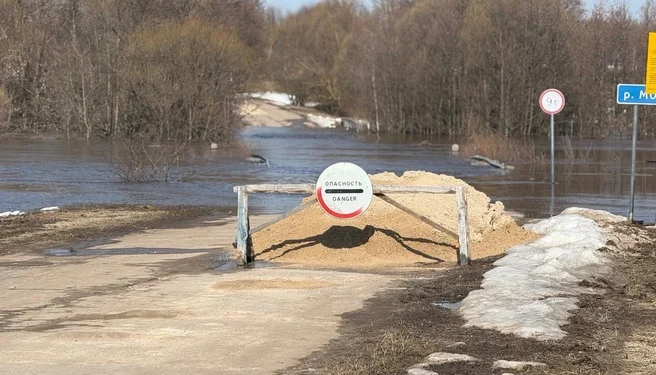 Паводок затопил мосты и участки дорог в Рязанской области