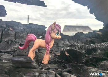 Гибель близнецов под Шиловом открыла новые страшные подробности Гибель близнецов под Шиловом открыла новые страшные подробности