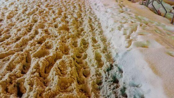 Школьники в Рязани не могут добраться до учебы Школьники в Рязани не могут добраться до учебы