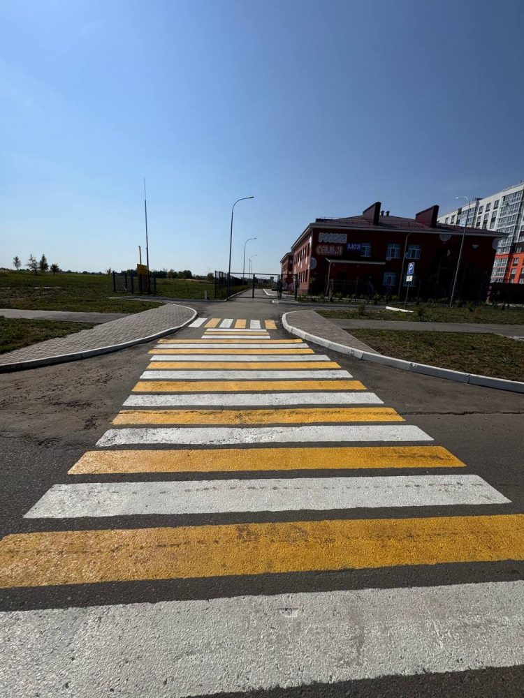 Новый пешеходный переход в рязанском Рыбном вызвал массу вопросов у горожан
