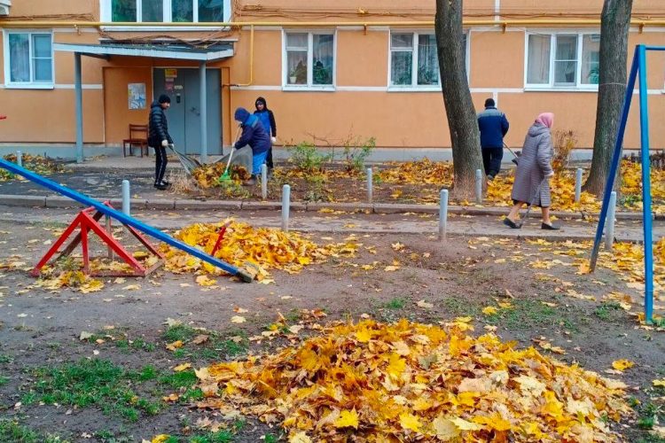 5 рязанским управляющим компаниям выдали предостережения из-за плохой уборки территории домов