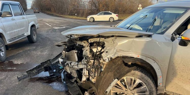 В ДТП под Рязанью пострадали два человека, в том числе 12-летняя девочка В ДТП под Рязанью пострадали два человека, в том числе 12-летняя девочка