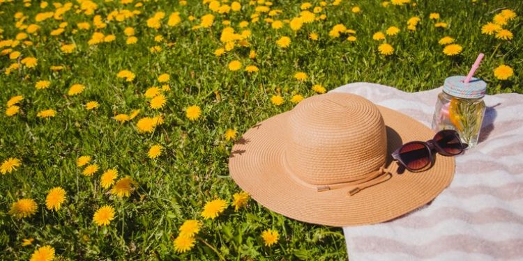 Метеоролог Вильфанд дал прогноз на лето 2024