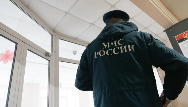 Пять пожаров потушили рязанские пожарные
