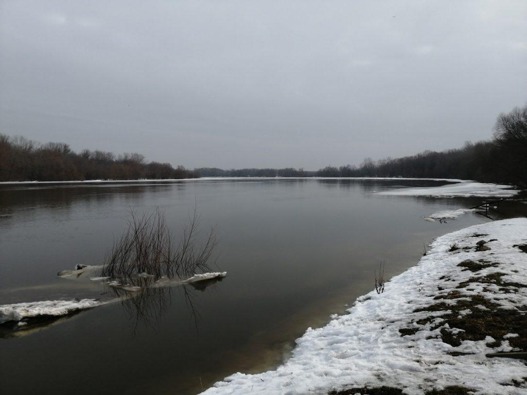 В Рязани озеро Ореховое и река Ока затопили причал в Лесопарке
