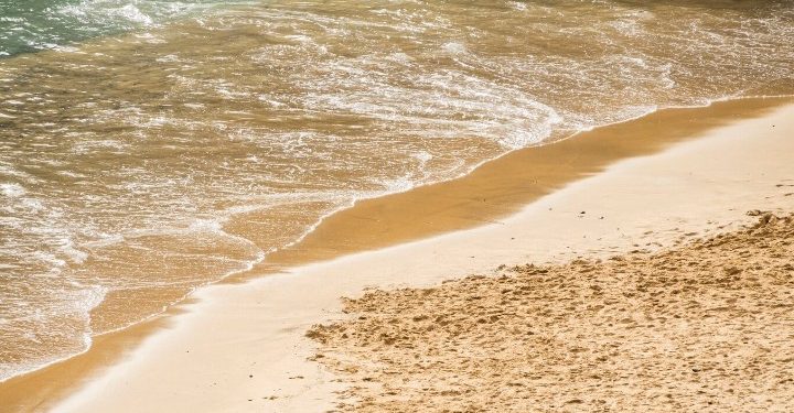 На пляже в Рязанской области прокуратура обнаружила нарушения