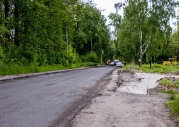 Ремонт охватит почти 15 километров трассы в Александро-Невском округе Ремонт охватит почти 15 километров трассы в Александро-Невском округе