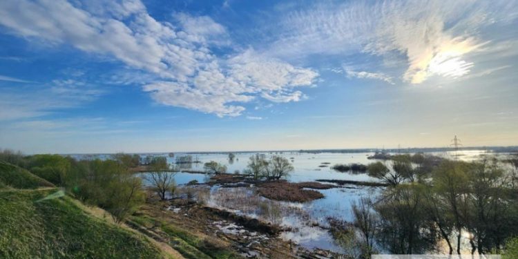 Разлив на Пре продолжает угрожать рязанским берегам