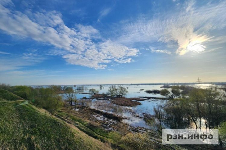 Разлив на Пре продолжает угрожать рязанским берегам