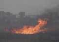 За неделю в Рязанской области потушили полсотни пожаров