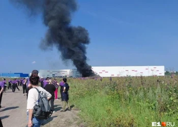 Пострадавшие от атак на Wildberries бизнесмены получат меры поддержки