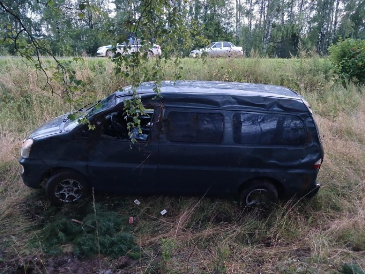 В ДТП в Касимовском районе пострадал годовалый ребенок