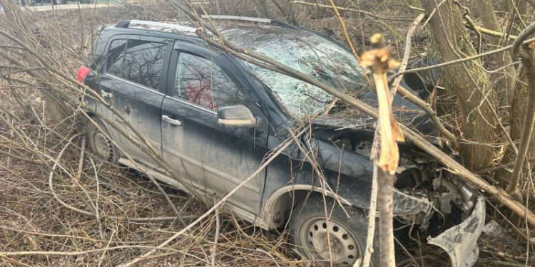 В Рязанском районе легковушка врезалась в дерево, погиб 36-летний водитель
