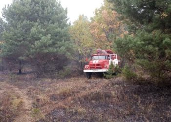 Возгорание сухой травы в Сараевском районе обнаружили при помощи космического мониторинга