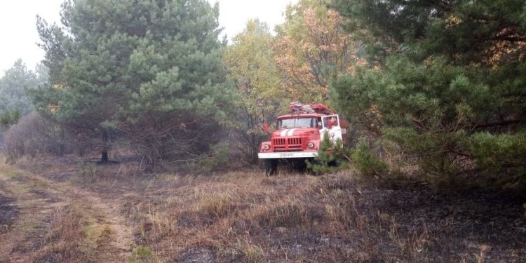 Возгорание сухой травы в Сараевском районе обнаружили при помощи космического мониторинга
