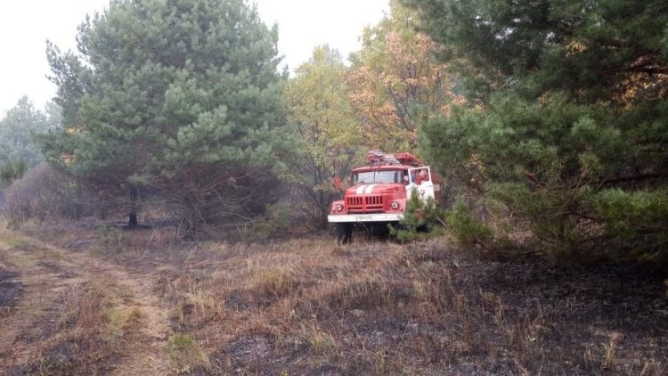 Возгорание сухой травы в Сараевском районе обнаружили при помощи космического мониторинга