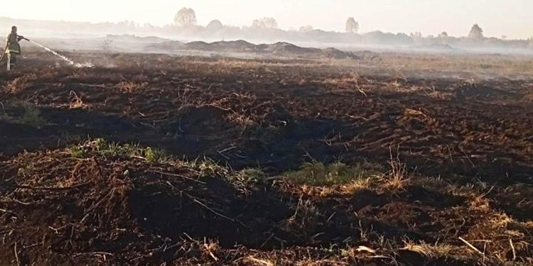 В Кораблинском районе спасатели 6 часов тушили загоревшуюся траву В Кораблинском районе спасатели 6 часов тушили загоревшуюся траву