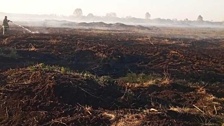 В Кораблинском районе спасатели 6 часов тушили загоревшуюся траву