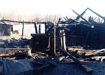 В Сараевском районе при пожаре сгорели бык и козы