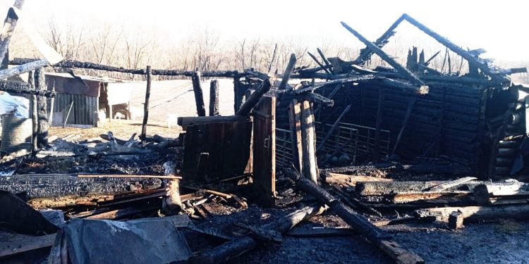 В Сараевском районе при пожаре сгорели бык и козы В Сараевском районе при пожаре сгорели бык и козы
