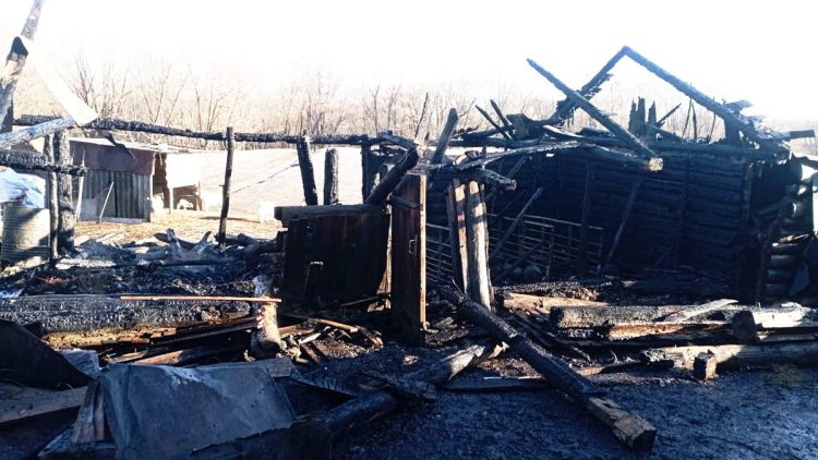 В Сараевском районе при пожаре сгорели бык и козы