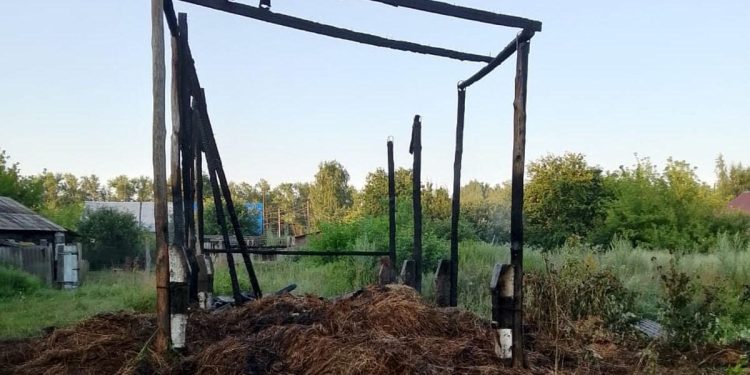 В Сараевском районе сгорел навес с 8 тоннами сена В Сараевском районе сгорел навес с 8 тоннами сена
