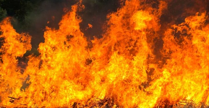 В Рязанской области за сутки ликвидировали два пожара В Рязанской области за сутки ликвидировали два пожара