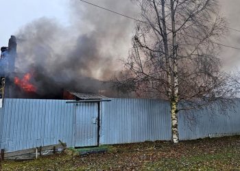 На крупном пожаре в Захаровском районе погибла собака