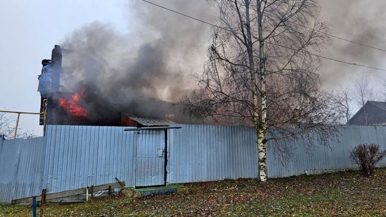 На крупном пожаре в Захаровском районе погибла собака