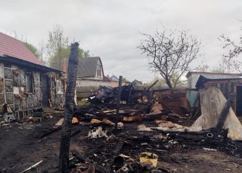 В рязанском Пронске сгорели три хозпостройки