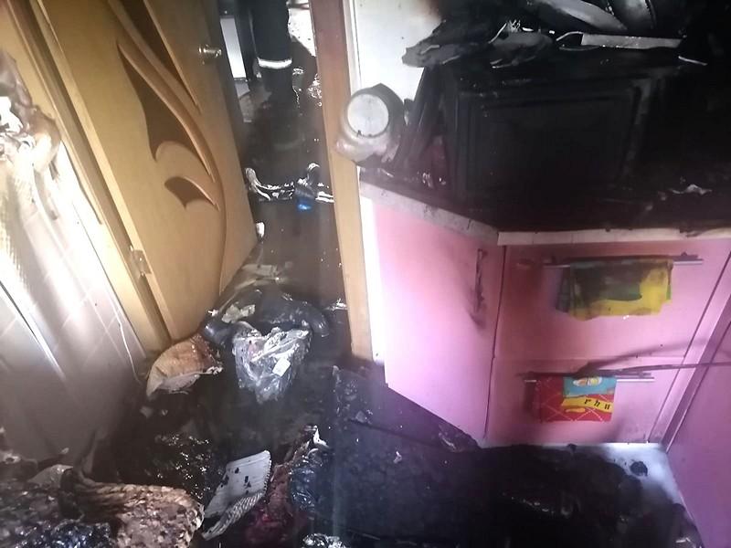 При пожаре в Новомичуринске погибла собака