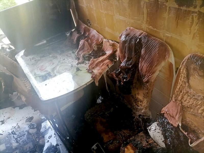 При пожаре в Новомичуринске погибла собака