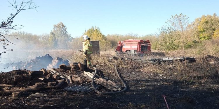 В Сараевском районе местные жители спасли жилой дом от огня В Сараевском районе местные жители спасли жилой дом от огня