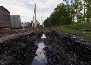 Александр Бастрыкин затребовал доклад по делу о дорогах в Старожиловском округе