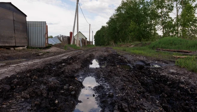 Александр Бастрыкин затребовал доклад по делу о дорогах в Старожиловском округе