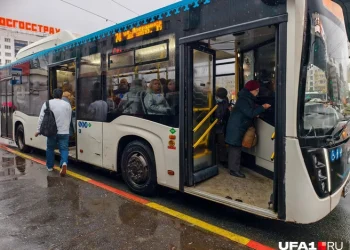 Власти планируют сделать проезд в общественном транспорте бесплатным.