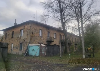 Десятилетняя девочка погибла в Скопинском округе из-за оборванных проводов