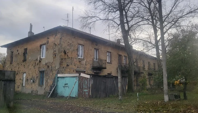 Десятилетняя девочка погибла в Скопинском округе из-за оборванных проводов