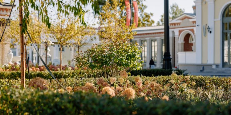 Малков объявил об открытии отремонтированной части Рязанской ВДНХ