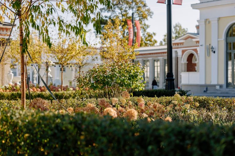 Малков объявил об открытии отремонтированной части Рязанской ВДНХ