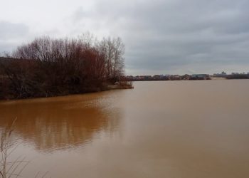 В Рязани вода в 1-м Борковском карьере приобрела красно-коричневый оттенок