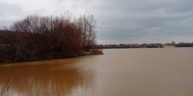 В Рязани вода в 1-м Борковском карьере приобрела красно-коричневый оттенок