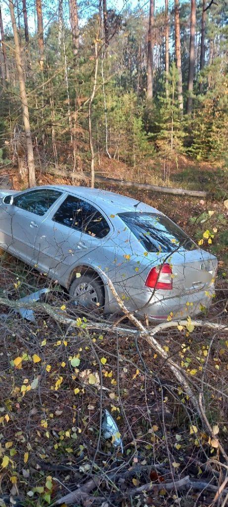 В Касимовском районе легковушка улетела в кювет
