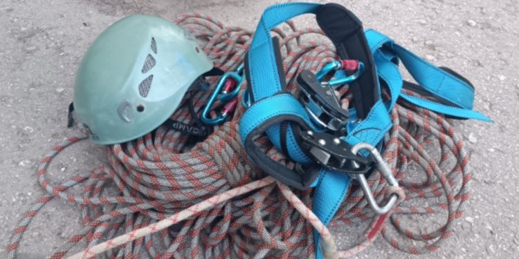 В Рязани зацепившаяся лапой за оконную раму кошка умерла из-за жары