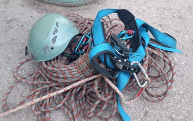 В Рязани зацепившаяся лапой за оконную раму кошка умерла из-за жары