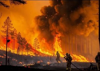 С начала сезона в Рязанском регионе потушили 12 лесных пожаров С начала сезона в Рязанском регионе потушили 12 лесных пожаров