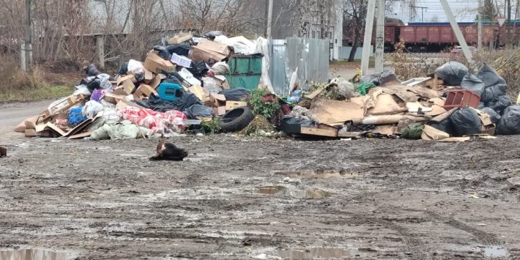 В рязанском Рыбном неизвестные выбросили рядом с мусорными контейнерами коровью голову