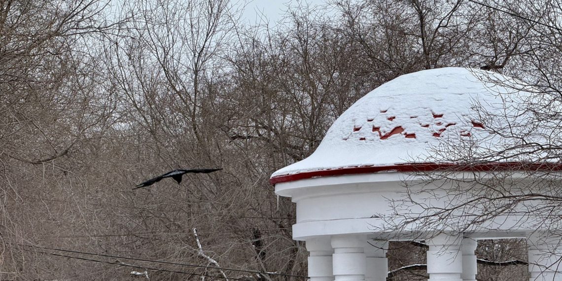 8 марта в Рязанской области ветрено и пасмурно