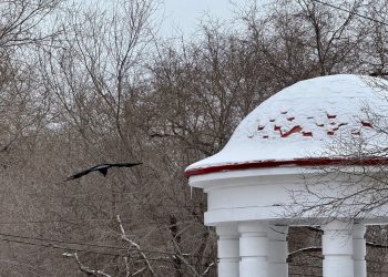 8 марта в Рязанской области ветрено и пасмурно